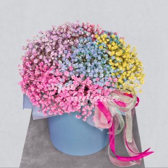 Коробка из 8 цветных гипсофил