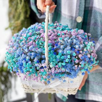 Корзина из 15 голубых гипсофил